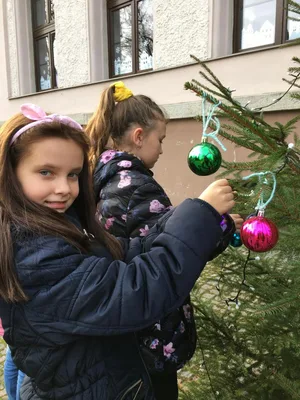 Zdobení vánočního stromečku, 30. 11. 2022