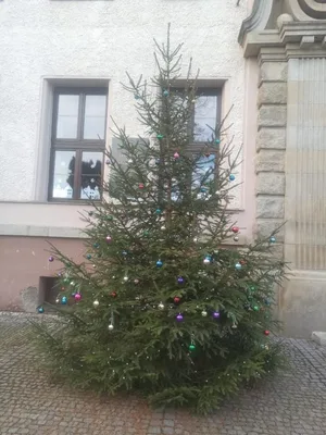 Malujeme vánoční ozdoby, 1. 12. 2022