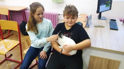 Celoškolní projekt: MÁME RÁDI ZVÍŘATA - MŮJ DOMÁCÍ MAZLÍČEK, 28. 1. 2023