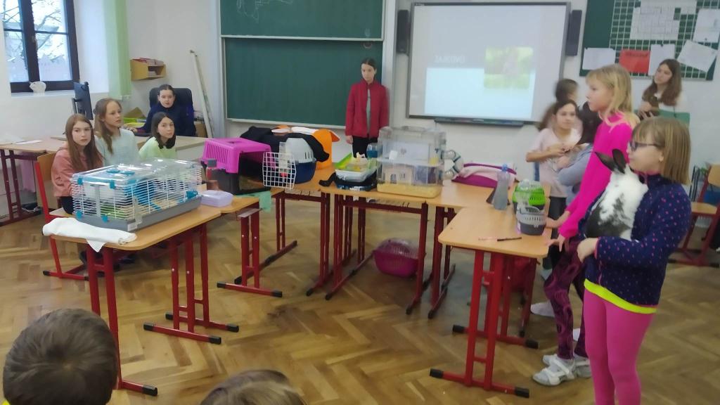 Celoškolní projekt: MÁME RÁDI ZVÍŘATA - MŮJ DOMÁCÍ MAZLÍČEK, 28. 1. 2023