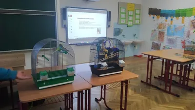 Celoškolní projekt: MÁME RÁDI ZVÍŘATA - MŮJ DOMÁCÍ MAZLÍČEK, 28. 1. 2023