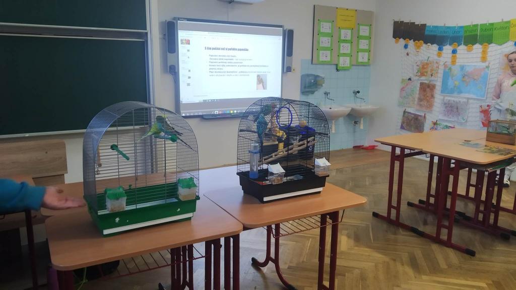 Celoškolní projekt: MÁME RÁDI ZVÍŘATA - MŮJ DOMÁCÍ MAZLÍČEK, 28. 1. 2023