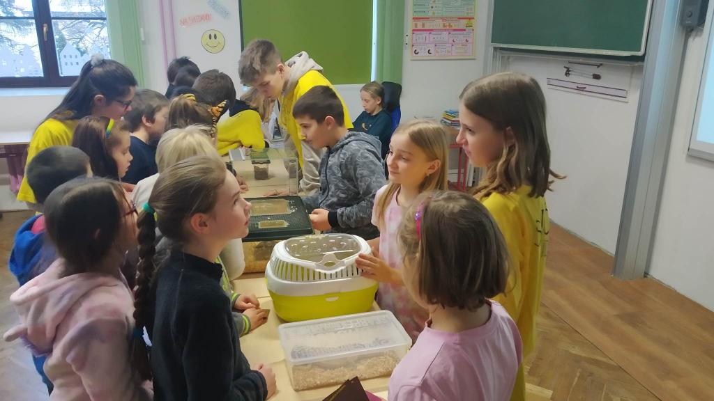 Celoškolní projekt: MÁME RÁDI ZVÍŘATA - MŮJ DOMÁCÍ MAZLÍČEK, 28. 1. 2023