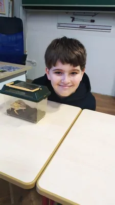 Celoškolní projekt: MÁME RÁDI ZVÍŘATA - MŮJ DOMÁCÍ MAZLÍČEK, 28. 1. 2023