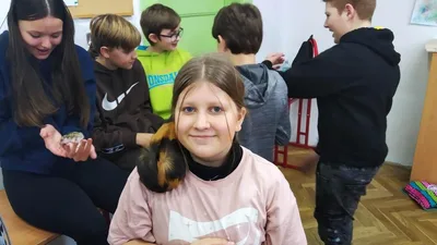 Celoškolní projekt: MÁME RÁDI ZVÍŘATA - MŮJ DOMÁCÍ MAZLÍČEK, 28. 1. 2023