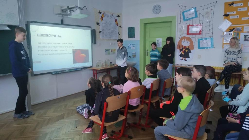 Celoškolní projekt: MÁME RÁDI ZVÍŘATA - MŮJ DOMÁCÍ MAZLÍČEK, 28. 1. 2023