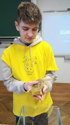 Celoškolní projekt: MÁME RÁDI ZVÍŘATA - MŮJ DOMÁCÍ MAZLÍČEK, 28. 1. 2023