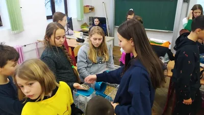 Celoškolní projekt: MÁME RÁDI ZVÍŘATA - MŮJ DOMÁCÍ MAZLÍČEK, 28. 1. 2023