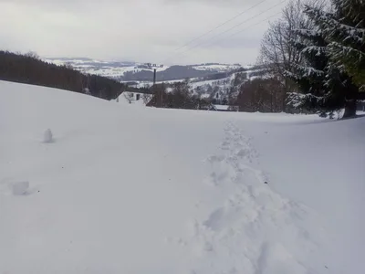 Lyžařský výcvik - den třetí, 31. 1. 2023