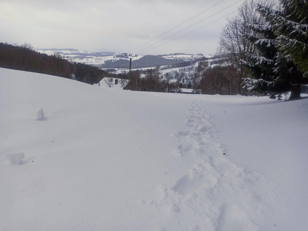 Lyžařský výcvik - den třetí, 31. 1. 2023