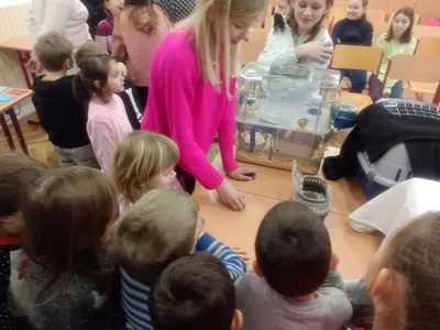 Máme rádi zvířata, 27. 1. 2023