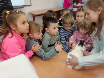 Máme rádi zvířata, 27. 1. 2023