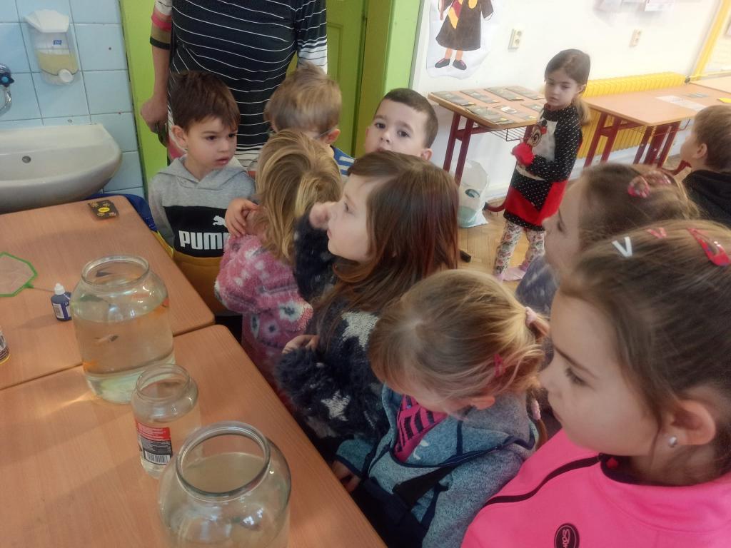 Máme rádi zvířata, 27. 1. 2023