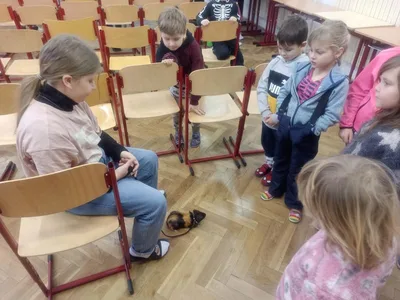 Máme rádi zvířata, 27. 1. 2023