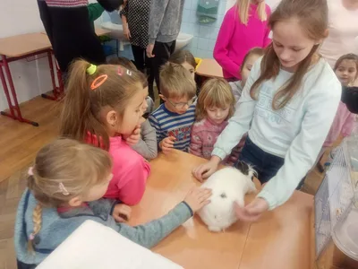 Máme rádi zvířata, 27. 1. 2023