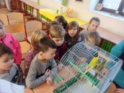 Máme rádi zvířata, 27. 1. 2023