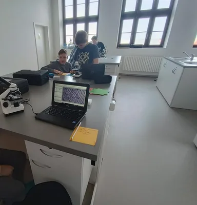 Moje první pozorování mikroskopem MŠ Osady Ležáků + 6. třída, 4. 1. 2023