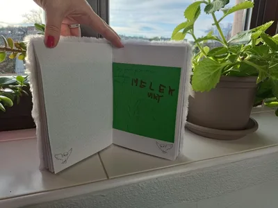 Moje první pozorování mikroskopem MŠ Osady Ležáků + 6. třída, 4. 1. 2023