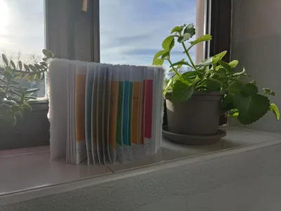 Moje první pozorování mikroskopem MŠ Osady Ležáků + 6. třída, 4. 1. 2023