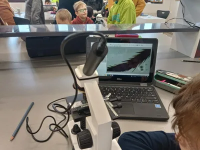 Moje první pozorování mikroskopem MŠ Osady Ležáků + 6. třída, 4. 1. 2023