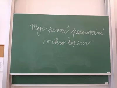 Moje první pozorování mikroskopem MŠ Osady Ležáků + 6. třída, 4. 1. 2023