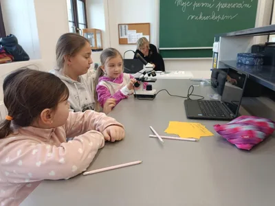 Moje první pozorování mikroskopem MŠ Osady Ležáků + 6. třída, 4. 1. 2023