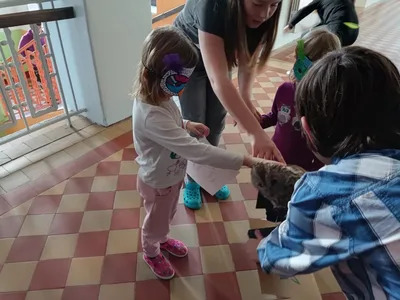 Moje první pozorování mikroskopem MŠ Poršova + 6. třída, 5. 1. 2023