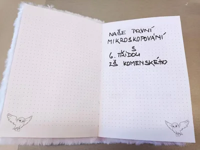 Moje první pozorování mikroskopem MŠ Poršova + 6. třída, 5. 1. 2023