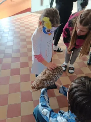 Moje první pozorování mikroskopem MŠ Poršova + 6. třída, 5. 1. 2023