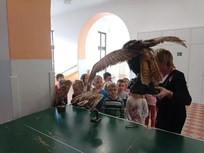 Moje první pozorování mikroskopem MŠ Poršova + 6. třída, 5. 1. 2023
