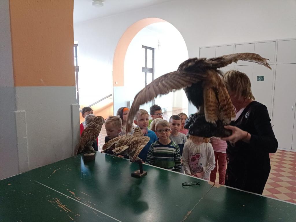 Moje první pozorování mikroskopem MŠ Poršova + 6. třída, 5. 1. 2023