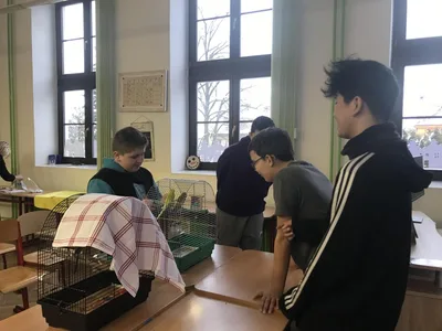 Projekt Máme rádi zvířata - domácí mazlíčci, 27. 1. 2023