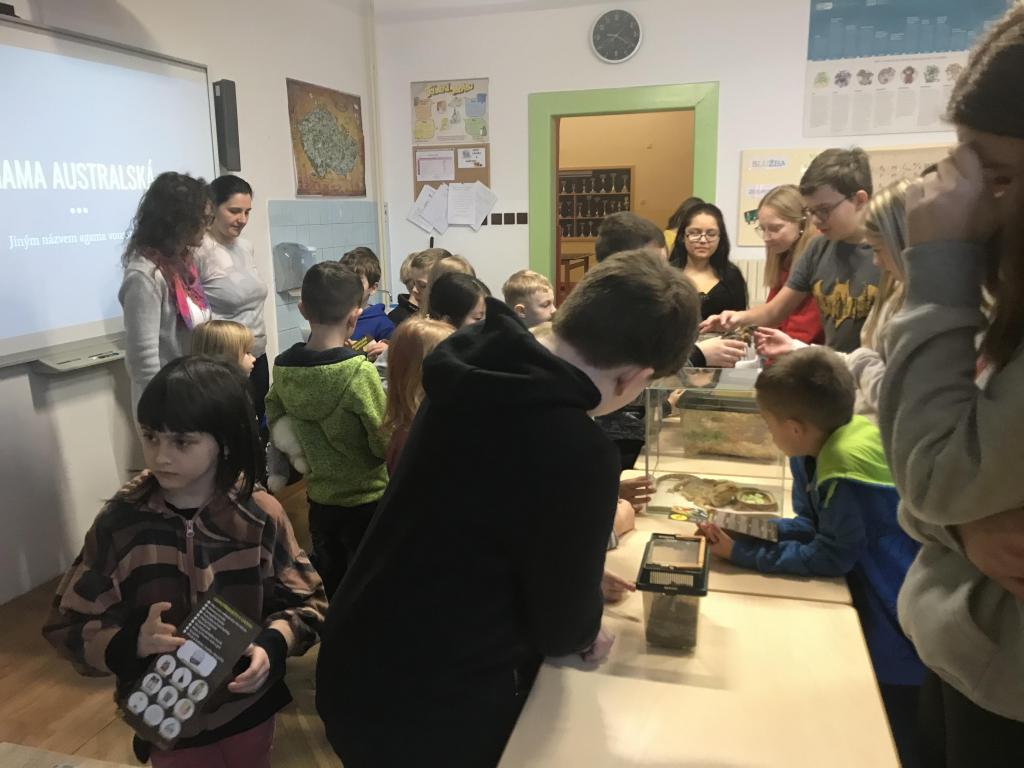 Projekt Máme rádi zvířata - domácí mazlíčci, 27. 1. 2023