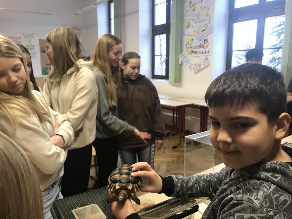 Projekt Máme rádi zvířata - domácí mazlíčci, 27. 1. 2023