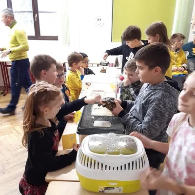 V přípravné třídě Máme rádi zvířata, 27. 1. 2023