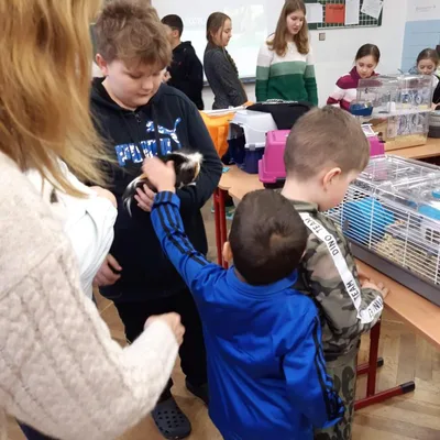 V přípravné třídě Máme rádi zvířata, 27. 1. 2023