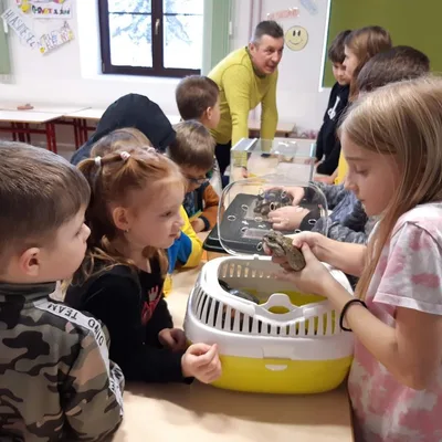 V přípravné třídě Máme rádi zvířata, 27. 1. 2023