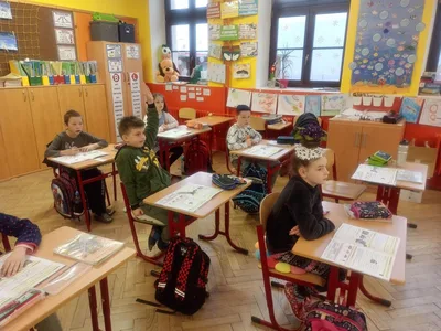 Den šílených účesů, 17. 2. 2023