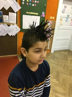 Den šílených účesů, 17. 2. 2023