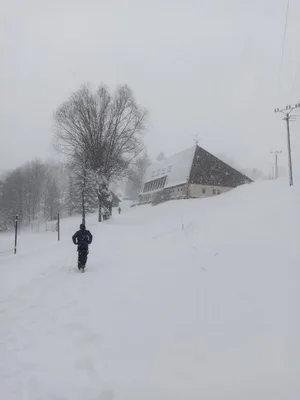 Lyžařský výcvik - den čtvrtý, 1. 2. 2023