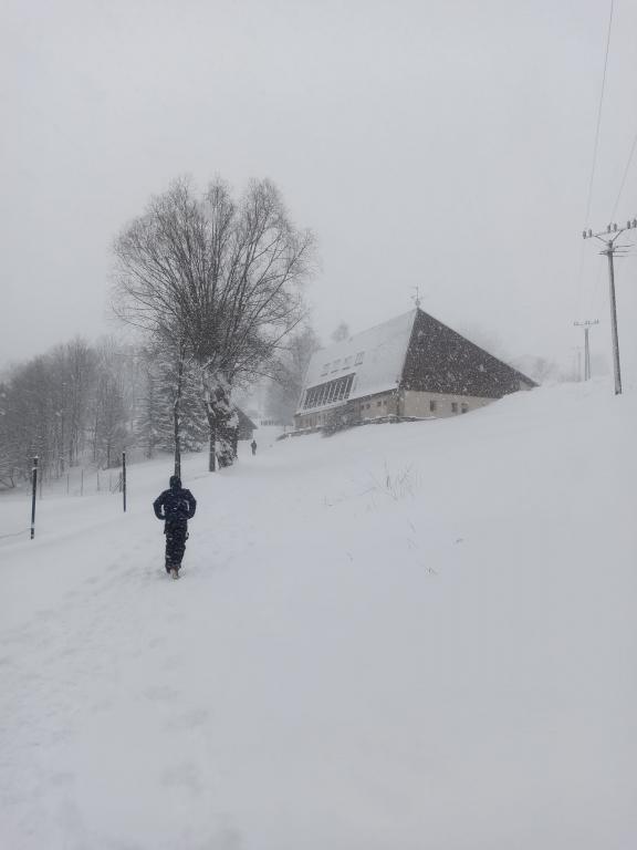 Lyžařský výcvik - den čtvrtý, 1. 2. 2023