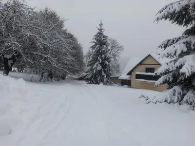 Lyžařský výcvik - den šestý, 3. 2. 2023