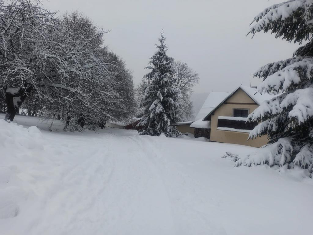 Lyžařský výcvik - den šestý, 3. 2. 2023