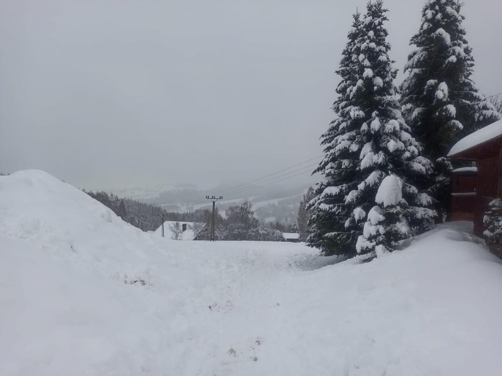 Lyžařský výcvik - den šestý, 3. 2. 2023