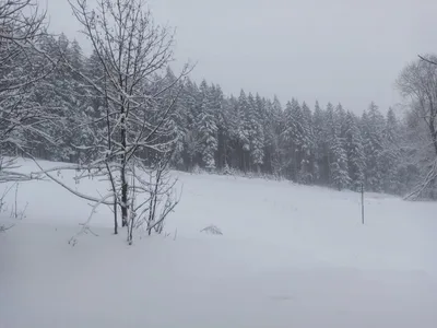 Lyžařský výcvik - den šestý, 3. 2. 2023