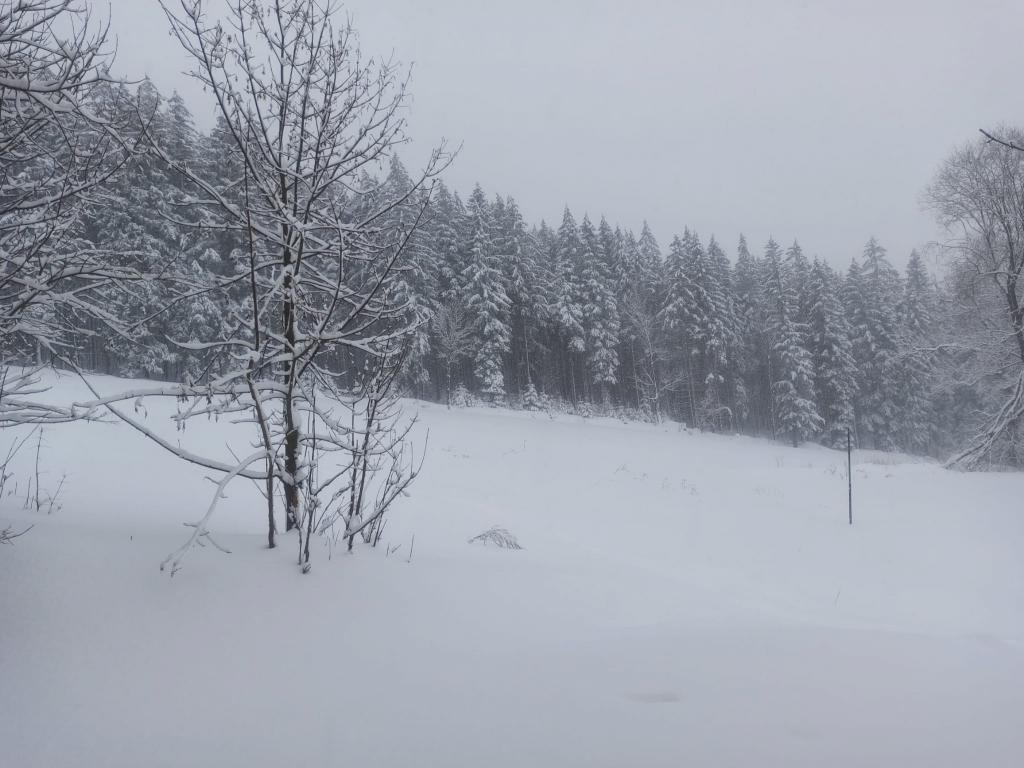 Lyžařský výcvik - den šestý, 3. 2. 2023