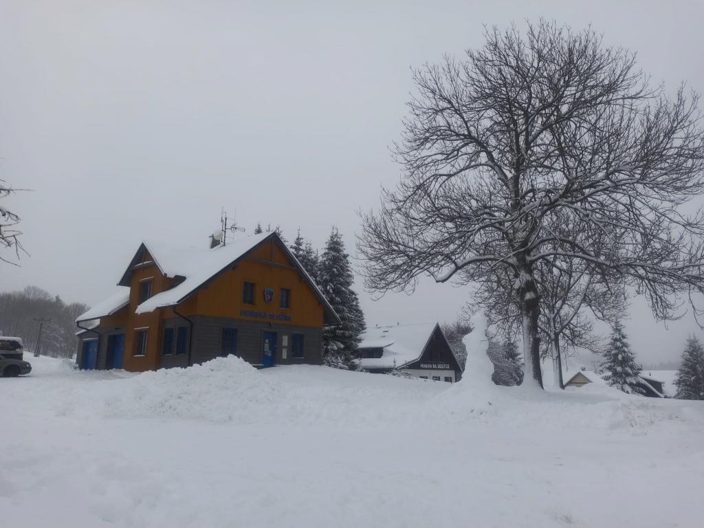 Lyžařský výcvik - den šestý, 3. 2. 2023