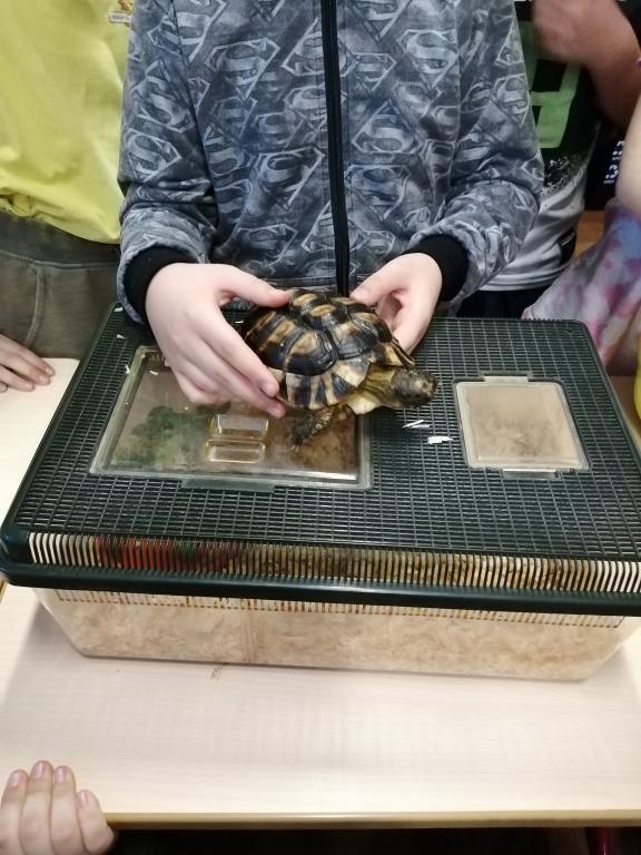 Máme rádi zvířata: Můj domácí mazlíček, 2. 2. 2023