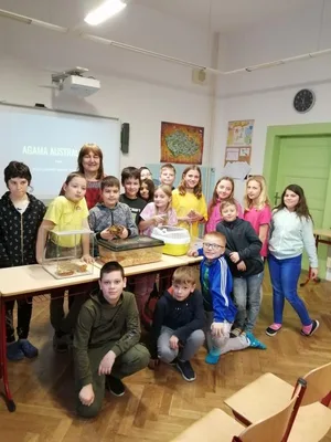 Máme rádi zvířata: Můj domácí mazlíček, 2. 2. 2023