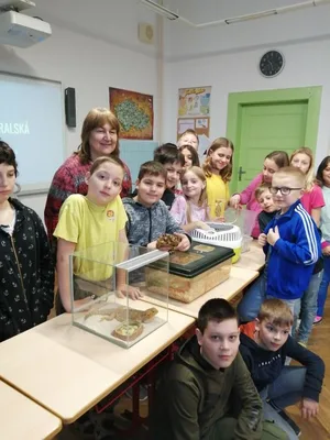 Máme rádi zvířata: Můj domácí mazlíček, 2. 2. 2023
